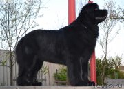 Превью фото № 207829