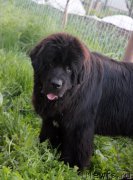 Превью фото № 207875