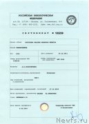 Превью фото № 207895