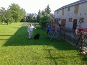 Превью фото № 207953