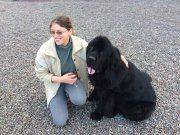 Превью фото № 207967