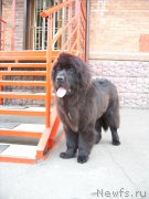 Превью фото № 207978