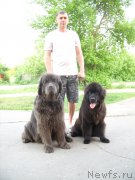 Превью фото № 207983