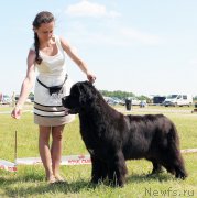 Превью фото № 208047