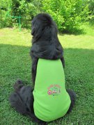 Превью фото № 208066