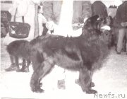 Превью фото № 208074