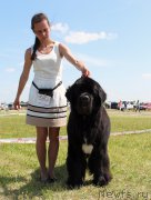 Превью фото № 208091