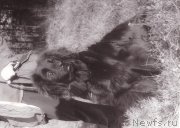 Превью фото № 208097