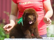 Превью фото № 208107