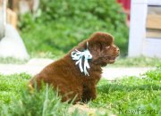 Превью фото № 208115