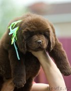 Превью фото № 208133