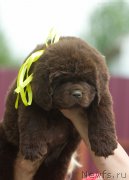 Превью фото № 208137