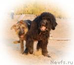 Превью фото № 20816