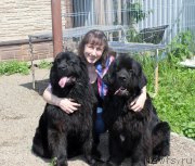 Превью фото № 208173