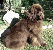 Превью фото № 208178