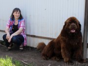 Превью фото № 208180