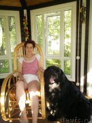 Превью фото № 208188