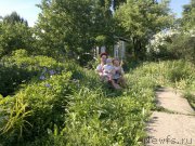 Превью фото № 208189