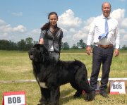 Превью фото № 208198