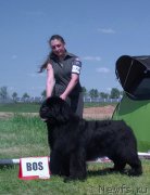 Превью фото № 208202