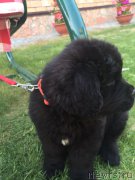 Превью фото № 208255