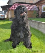 Превью фото № 208276