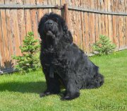 Превью фото № 208280