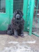 Превью фото № 208288