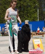 Превью фото № 208298