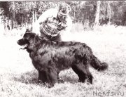 Превью фото № 208301