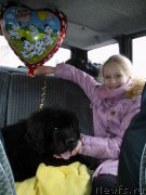 Превью фото № 208375