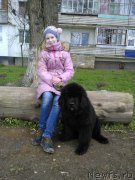 Превью фото № 208377