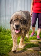 Превью фото № 208405