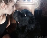 Превью фото № 208435