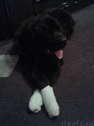 Превью фото № 208436