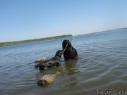 Превью фото № 208462