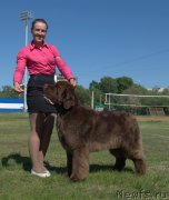 Превью фото № 208465