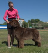 Превью фото № 208467