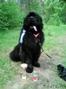 Превью фото № 208478