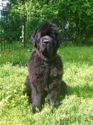 Превью фото № 208516