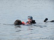 Превью фото № 208531