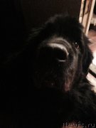 Превью фото № 208536