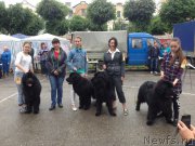 Превью фото № 208537