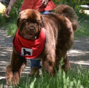 Превью фото № 208552