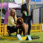 Превью фото № 208562