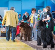 Превью фото № 208568