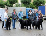 Превью фото № 208583