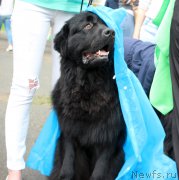 Превью фото № 208593