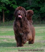 Превью фото № 208630