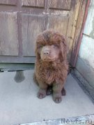 Превью фото № 208632